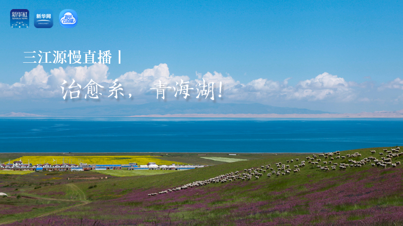 三江源慢直播丨治愈系，青海湖！