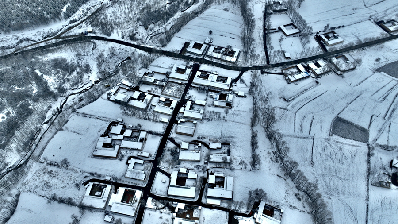 青海化?。恒y裝素裹 雪景如畫